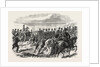 The Volunteer Sham Fight at Brighton on Easter Monday: The Sussex Artillery Ascending the Downs by Anonymous