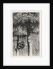 The Nest-Building Ape in His Shelter by Anonymous