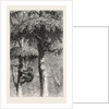 The Nest-Building Ape in His Shelter by Anonymous