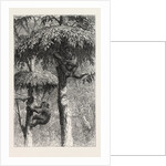 The Nest-Building Ape in His Shelter by Anonymous