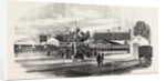Opening of the Exeter and Exmouth Railway: Arrival of the First Train at Exmouth by Anonymous