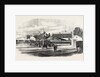 Opening of the Exeter and Exmouth Railway: Arrival of the First Train at Exmouth by Anonymous