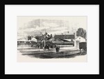 Opening of the Exeter and Exmouth Railway: Arrival of the First Train at Exmouth by Anonymous