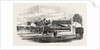 Opening of the Exeter and Exmouth Railway: Arrival of the First Train at Exmouth by Anonymous