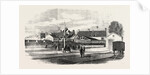 Opening of the Exeter and Exmouth Railway: Arrival of the First Train at Exmouth by Anonymous