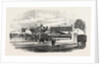 Opening of the Exeter and Exmouth Railway: Arrival of the First Train at Exmouth by Anonymous