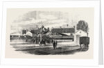 Opening of the Exeter and Exmouth Railway: Arrival of the First Train at Exmouth by Anonymous