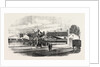 Opening of the Exeter and Exmouth Railway: Arrival of the First Train at Exmouth by Anonymous