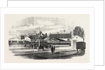 Opening of the Exeter and Exmouth Railway: Arrival of the First Train at Exmouth by Anonymous