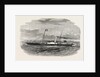 The London and Ipswich Company's New Packet Queen of the Thames. by Anonymous