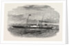 The London and Ipswich Company's New Packet Queen of the Thames. by Anonymous
