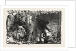 The Treaty with France French Rags and French Paper: Rag-Sorter in Paris the Parisian Rag-Picker on His Round by Anonymous