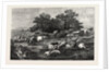 The Arrival at the Fair: A Scene in Auvergne by Anonymous