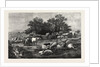 The Arrival at the Fair: A Scene in Auvergne by Anonymous