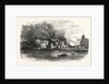 The Great Fire in Southwark: Scene at Cotton's Wharf at Midday UK by Anonymous