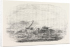Wreck of the Douro Steamship on the Paracels in the China Sea 1854 by Anonymous