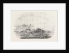 Wreck of the Douro Steamship on the Paracels in the China Sea 1854 by Anonymous