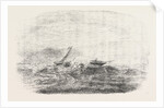 Wreck of the Douro Steamship on the Paracels in the China Sea 1854 by Anonymous