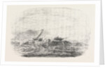 Wreck of the Douro Steamship on the Paracels in the China Sea 1854 by Anonymous