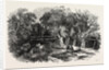 Entrance to the Coalmine of Heraclea on the Black Sea by Anonymous