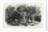 Entrance to the Coalmine of Heraclea on the Black Sea by Anonymous
