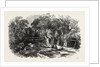 Entrance to the Coalmine of Heraclea on the Black Sea by Anonymous