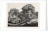 An Old English Homestead by Anonymous