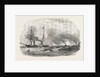 Destruction of Sulineh at the Mouth of the Danube 1854 by Anonymous