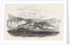 Baltschik on the Coast of Bulgaria 1854 by Anonymous