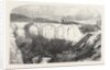 Remains of the Alexandrian Library 1854 by Anonymous