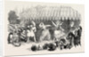 Marriage of the Sultan's Daughter Fete at Baltaliman 1854 by Anonymous
