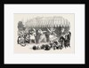 Marriage of the Sultan's Daughter Fete at Baltaliman 1854 by Anonymous