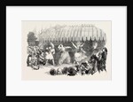 Marriage of the Sultan's Daughter Fete at Baltaliman 1854 by Anonymous