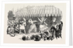 Marriage of the Sultan's Daughter Fete at Baltaliman 1854 by Anonymous