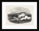 Boat Attack by H.M.S. Gorgon on One of the Aland Isles by Anonymous