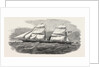 The New Screw Steamer Barwon 1854 by Anonymous