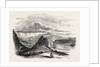 Kavarnà Bay and Town of Baltschik 1854 by Anonymous