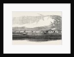 Anapa on the Coast of Circassia 1854 by Anonymous