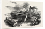 Stone Coffins Found at Bath 1854 by Anonymous
