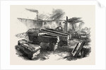 Stone Coffins Found at Bath 1854 by Anonymous