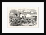 Oltenitza from Turtukai 1854 by Anonymous