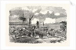 Oltenitza from Turtukai 1854 by Anonymous