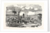 Oltenitza from Turtukai 1854 by Anonymous