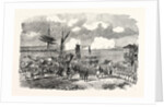 Oltenitza from Turtukai 1854 by Anonymous
