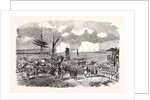 Oltenitza from Turtukai 1854 by Anonymous
