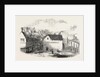 View in Gateshead 1854 by Anonymous