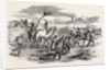 The Crimean War: The Road to Sebastopol: Commissariat Waggons Conveyance of Fascines 1854 by Anonymous