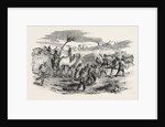 The Crimean War: The Road to Sebastopol: Commissariat Waggons Conveyance of Fascines 1854 by Anonymous