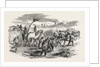 The Crimean War: The Road to Sebastopol: Commissariat Waggons Conveyance of Fascines 1854 by Anonymous