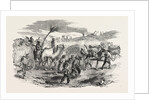 The Crimean War: The Road to Sebastopol: Commissariat Waggons Conveyance of Fascines 1854 by Anonymous